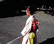 P1000427.jpg