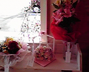 P1000500.jpg