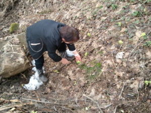 2012-04-20 12.46.27.jpg