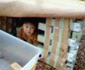 20051126_73899.jpg