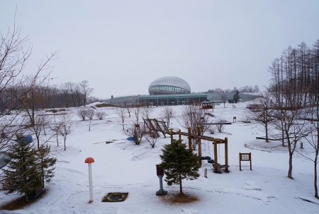 冠雪