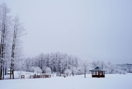 霧氷03