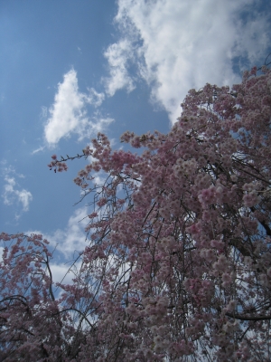 02_110424_j