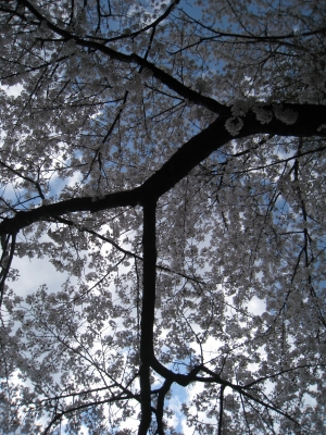 03_110424_j
