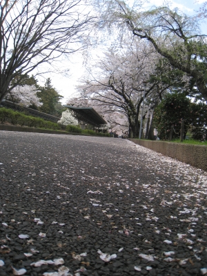 04_110424_j
