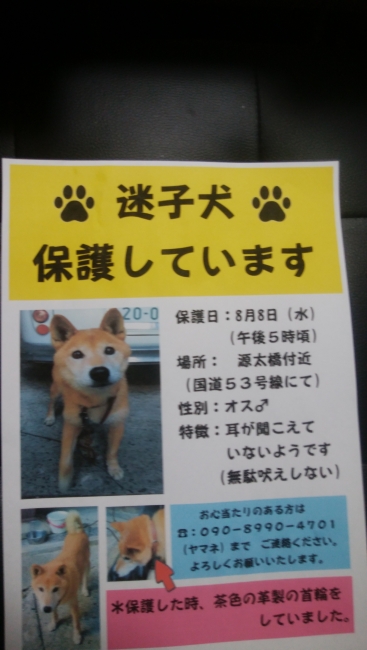 2018年08月10日の記事 鳥取のドッグラン 犬猫譲渡会のことならビンチェーロのお知らせブログへ