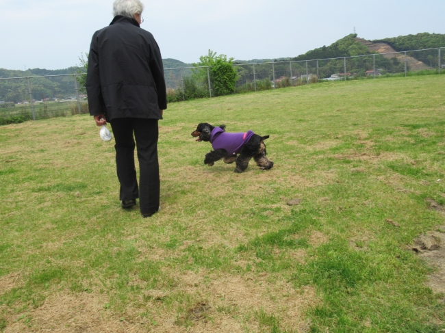 一転にわかに かき曇り 鳥取のドッグラン 犬猫譲渡会のことならビンチェーロのお知らせブログへ