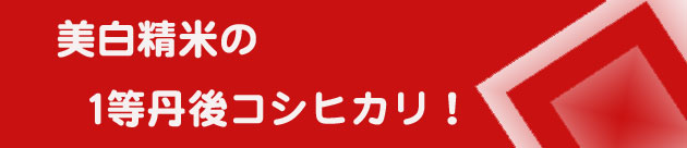 丹後コシヒカリ