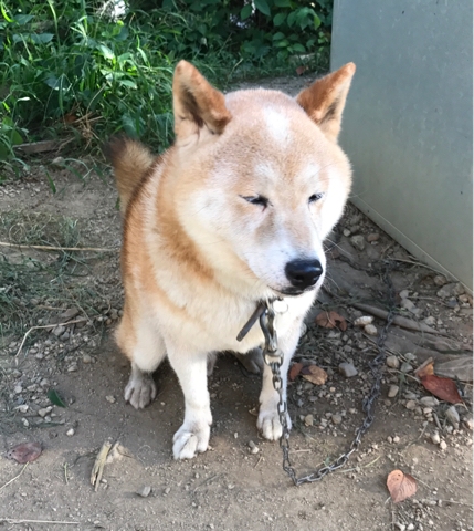 iPhoneImage.png