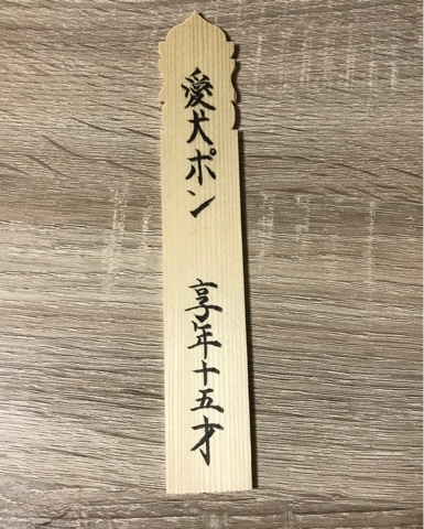 iPhoneImage.png