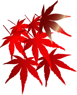 そろそろ秋ですね いろいろな紅葉のイラスト12点 ベクターデータ フリー無料素材 商用ok 京都ホームページ制作日記