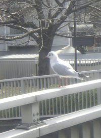 下町