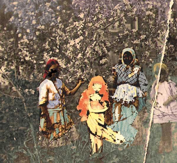Paavoharju「Laulu Laakson Kukista」