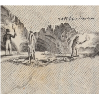 Tape「Luminarium」