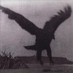 The Child Readers「Music Heard Far Off」