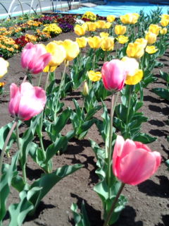 20110412124746.jpg