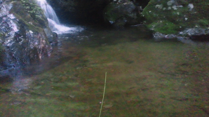 2011070817170001.jpg
