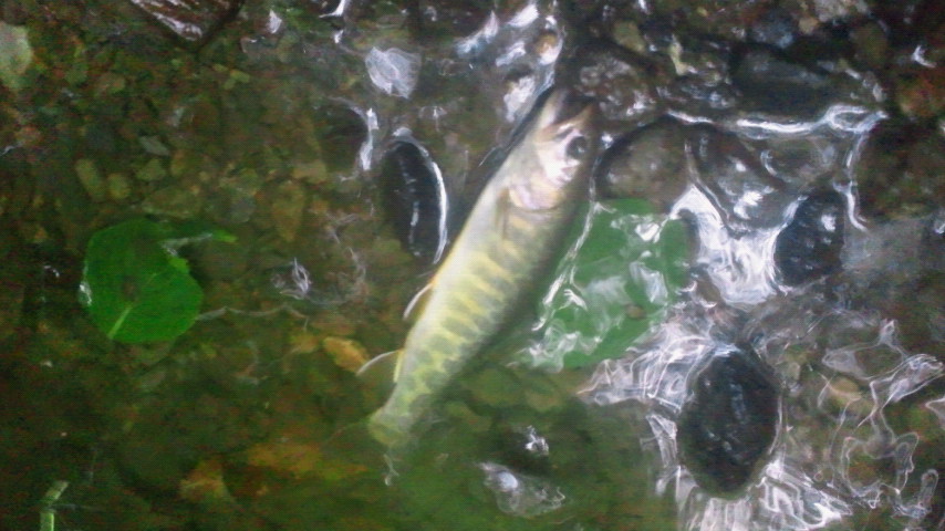 2011070817170000.jpg