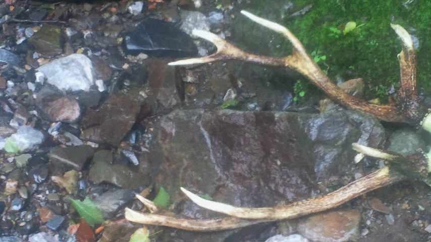 2011070816260000.jpg