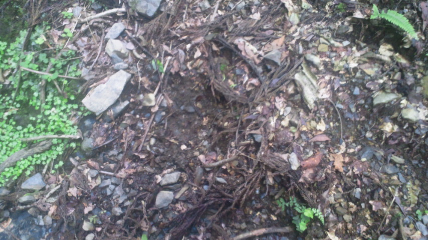 2011070815210001.jpg