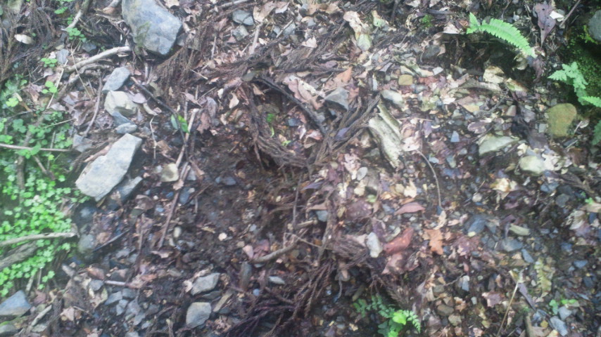 2011070815210000.jpg