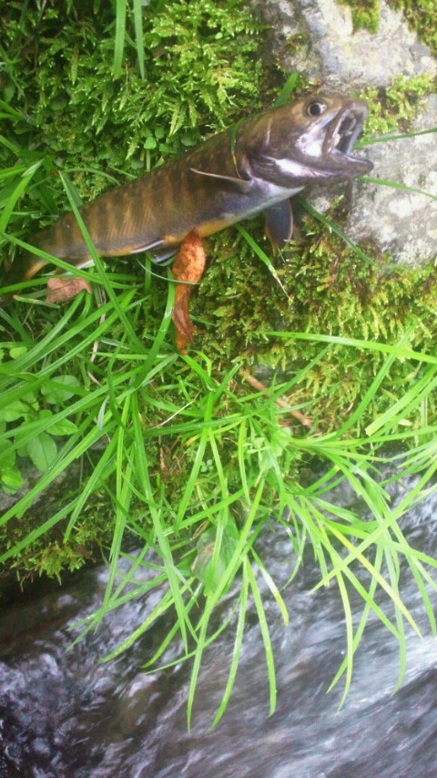 2011070814080000.jpg