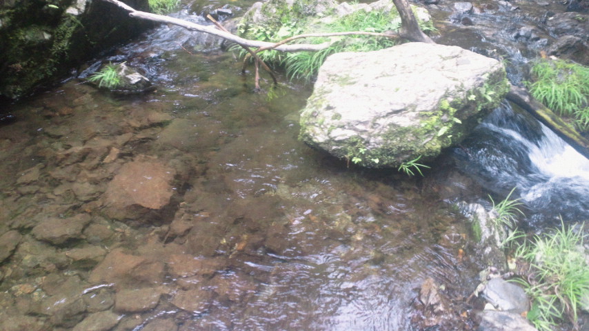 2011070814060000.jpg
