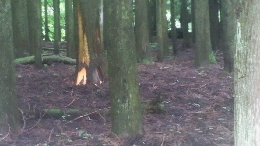 2011070813210000.jpg