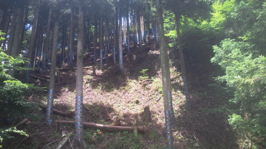 2011070812130000.jpg