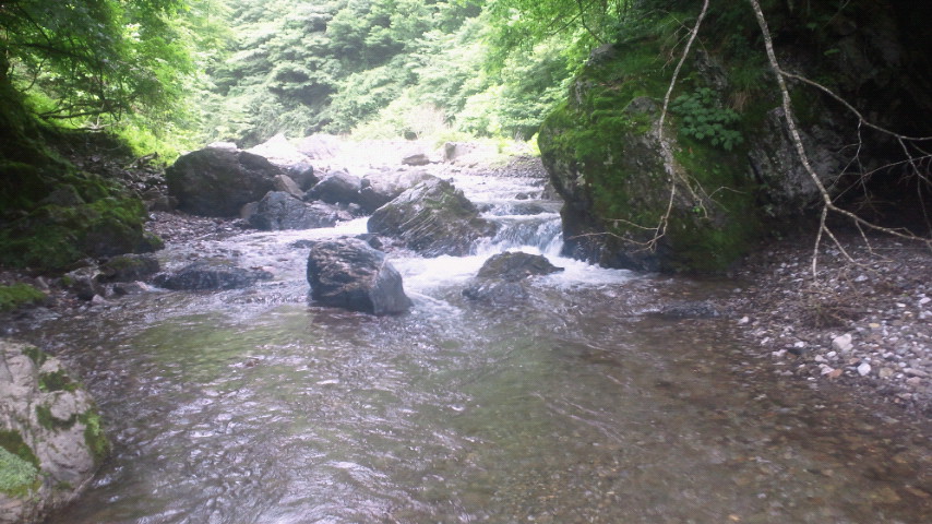 2011070812030000.jpg