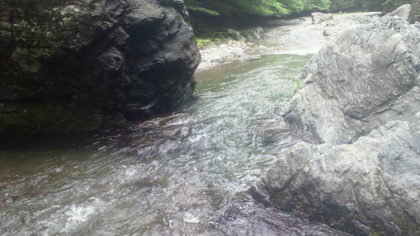 2011070812020000.jpg