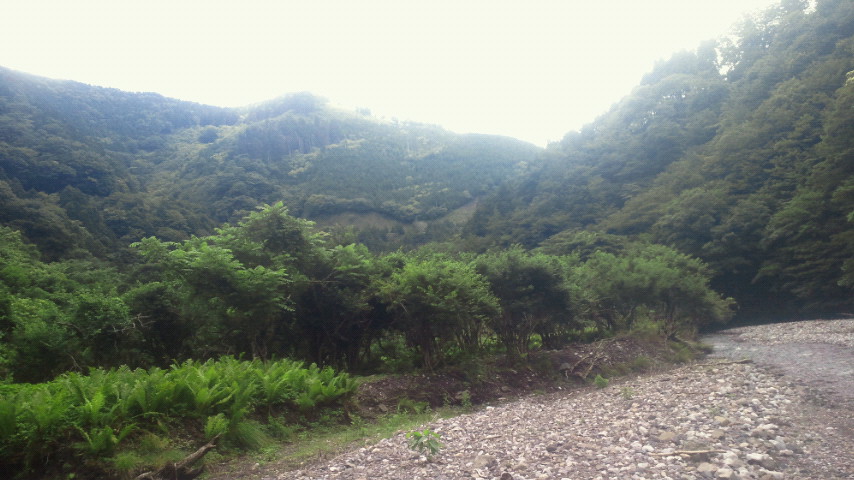 2011070811370000.jpg