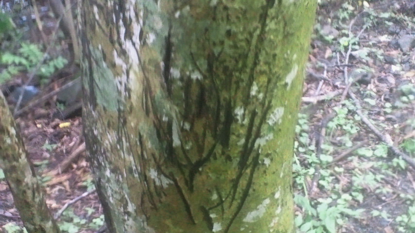 2011070811320000.jpg
