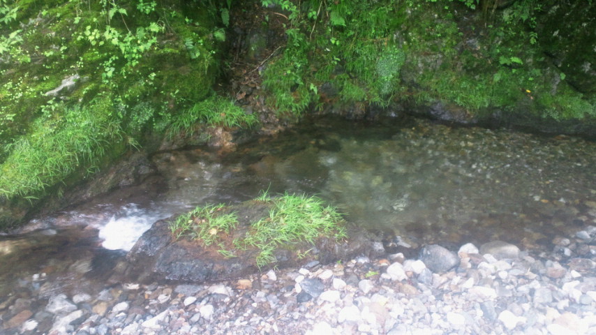 2011070811140000.jpg