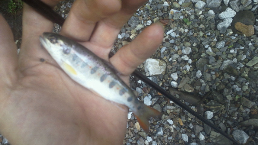 2011070811020000.jpg