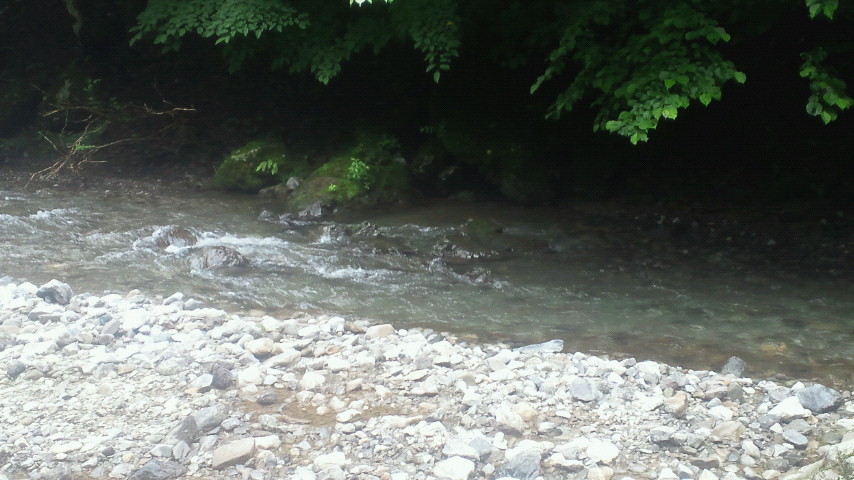 2011070810480000.jpg
