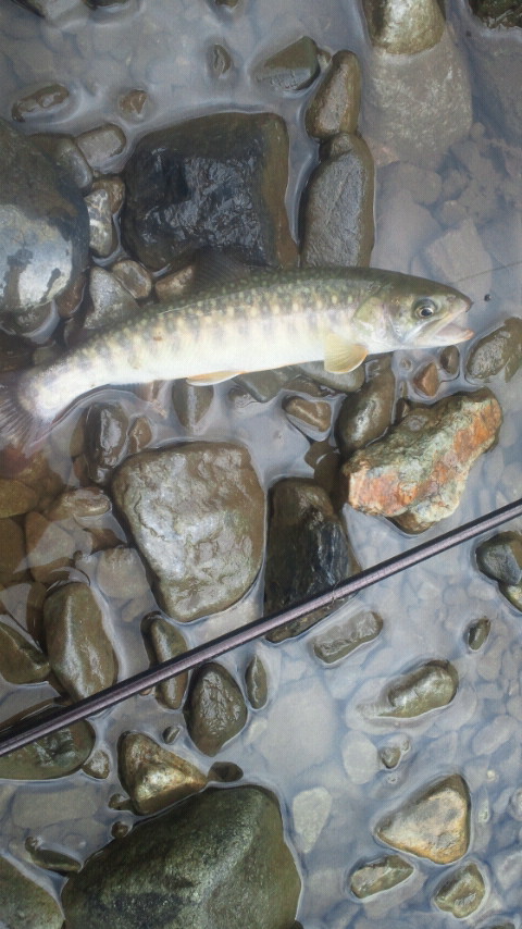2011070810360000.jpg