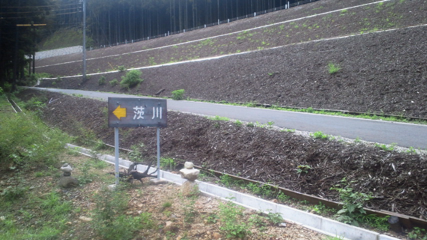 2011070809360001.jpg