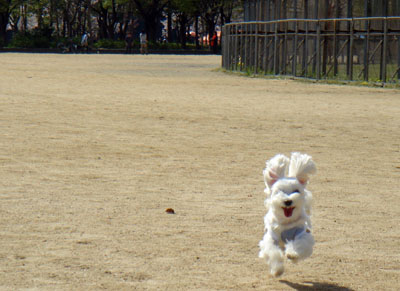 DSC02464.JPG