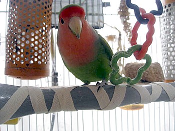 サーモパーチ4