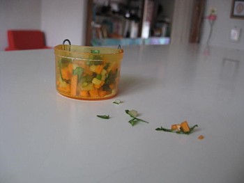 パピネン殿下 コザクラインコ