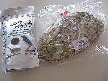 ミルワーム