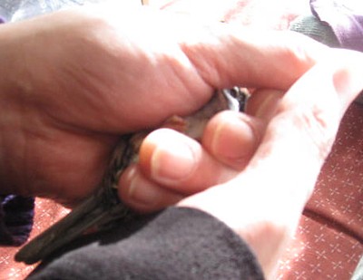 2011 (97).JPG