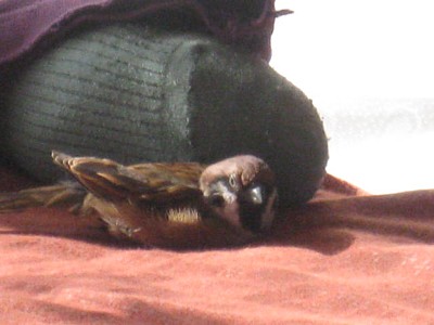 2011 (101).JPG