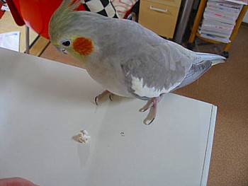 IMG_1344.JPG
