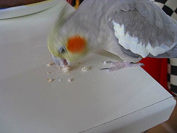 IMG_1346.JPG