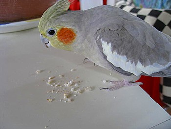 IMG_1347.JPG