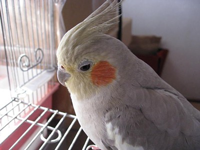 モミー (10).JPG