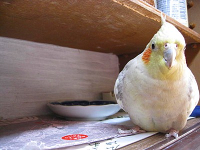 モミー (13).JPG
