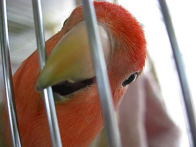 IMG_1876.JPG